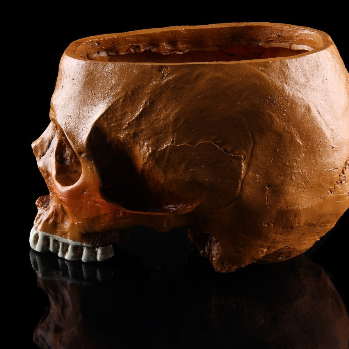 Crâne Rituel de l’Extase Divine