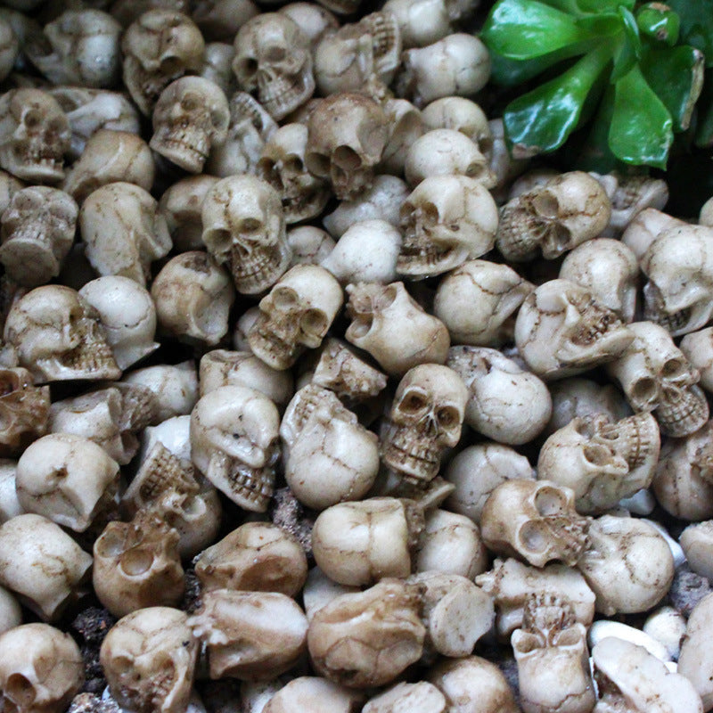 Lot de 20 Petits Crâne